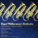 Royal Philharmonic Orchestra Plays Beethoven, Brahms & Mahler专辑