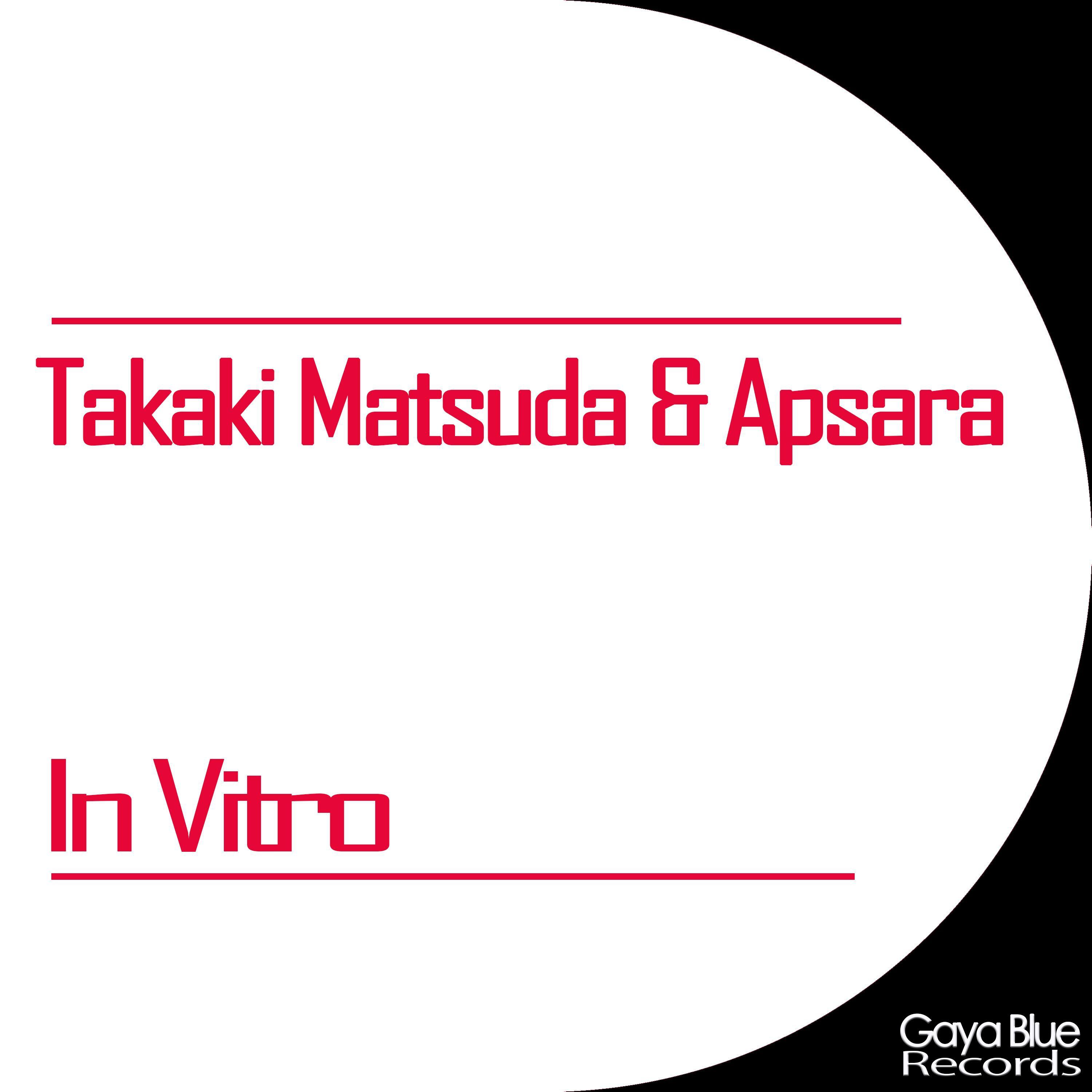 Takaki Matsuda - In Vitro