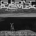 Giant (Audien Remix)专辑