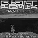 Giant (Audien Remix)专辑
