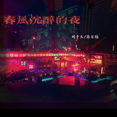 春风沉醉的夜