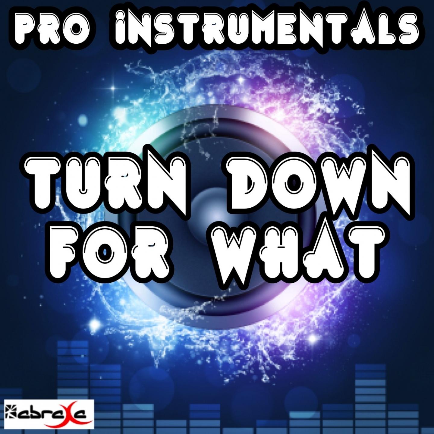 turn down for what (karaoke version) [originally performed by dj