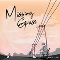 Missing Grass专辑