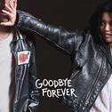 Goodbye Forever专辑