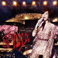 江蕙-年演唱会袂落去(10年演唱会)原版Live伴奏