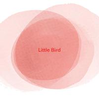 Little Bird - Annie Lennox (karaoke)