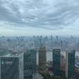 都是爱情陷阱歌手图片