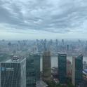 都是爱情陷阱