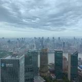 都是爱情陷阱