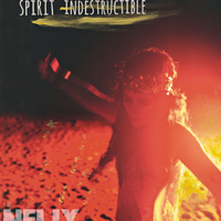 Nelly Furtado - Spirit Indestructible (unofficial Instrumental) 伴奏 无人声 伴奏 AI版本
