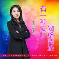 刘习军 杨美华 - 有一种爱叫网络情缘(原版立体声伴奏)