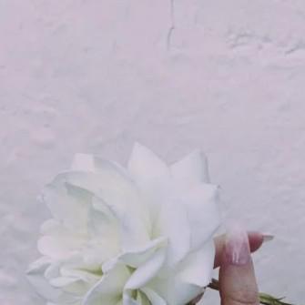 毒药