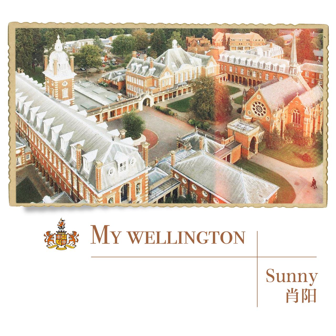 My wellington专辑