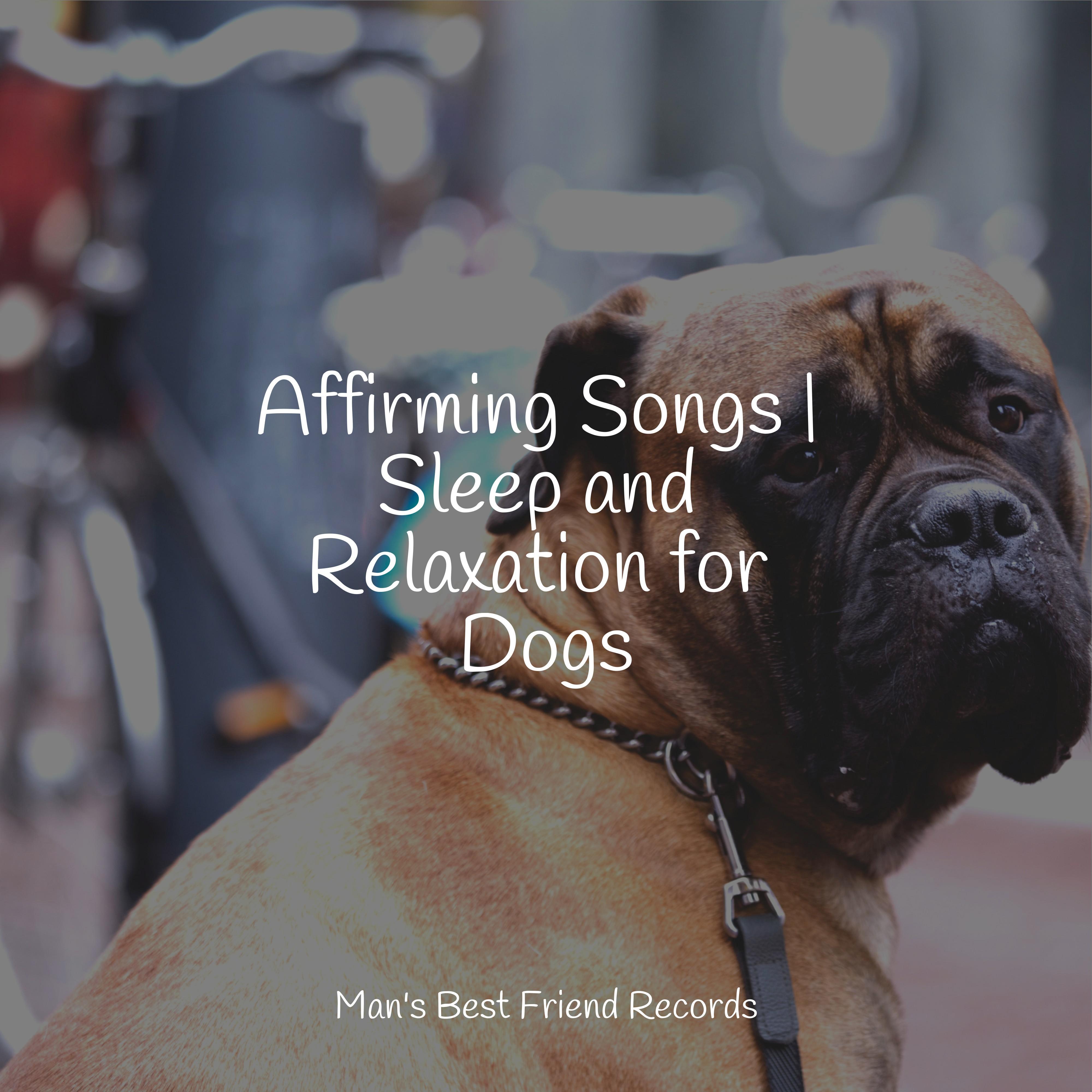 Sleeping Music For Dogs - Meditating Music