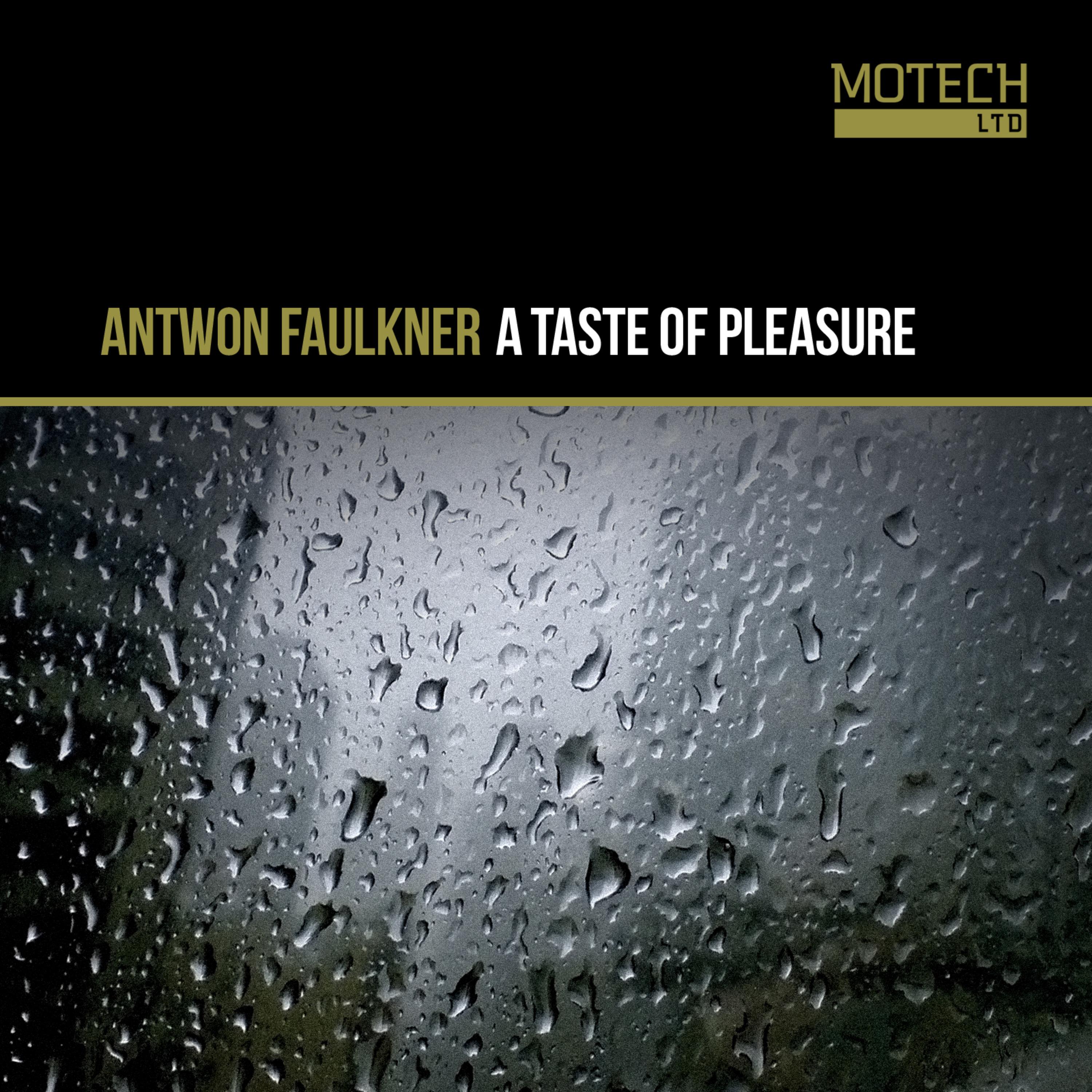 A Taste of Pleasure EP