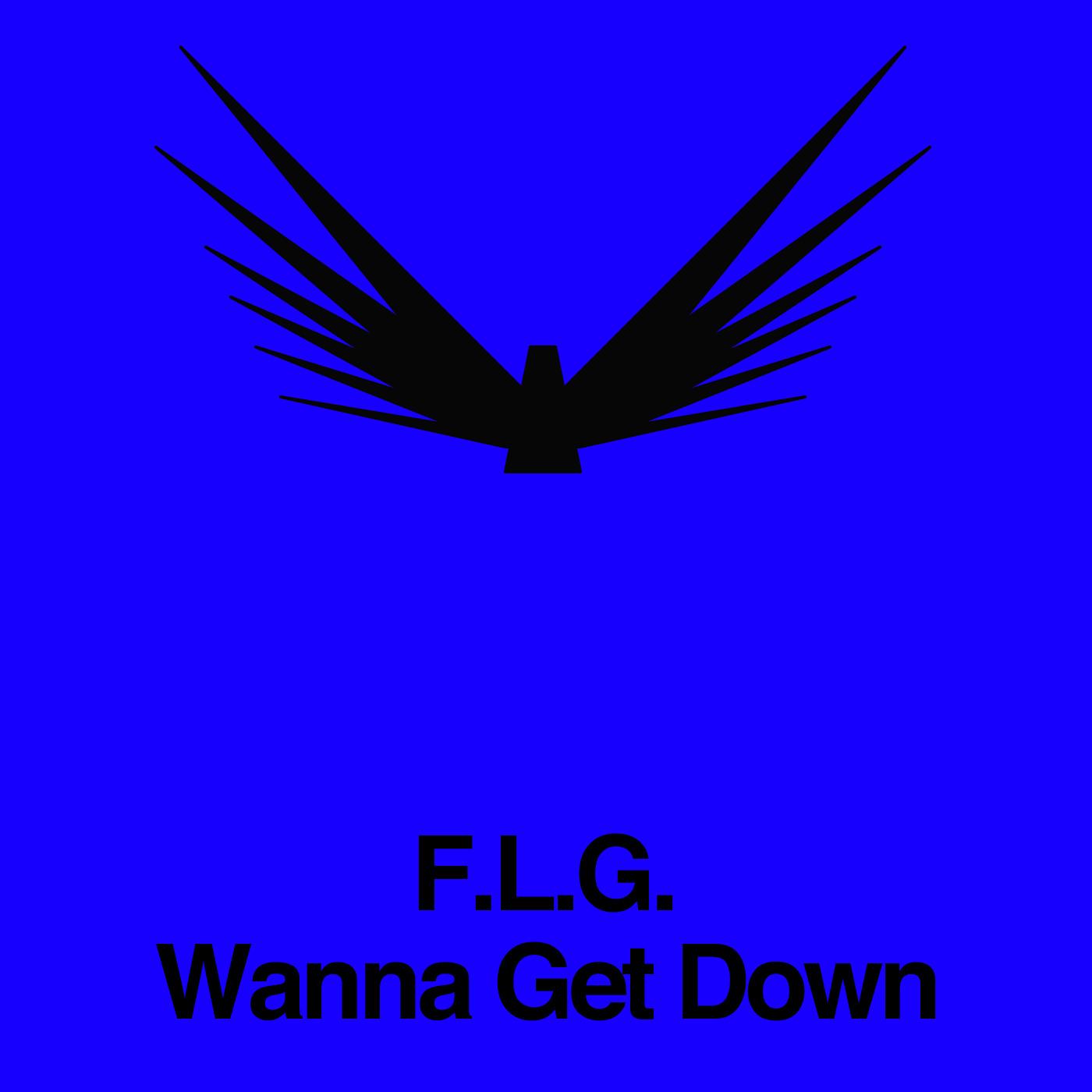 Wanna Get Down