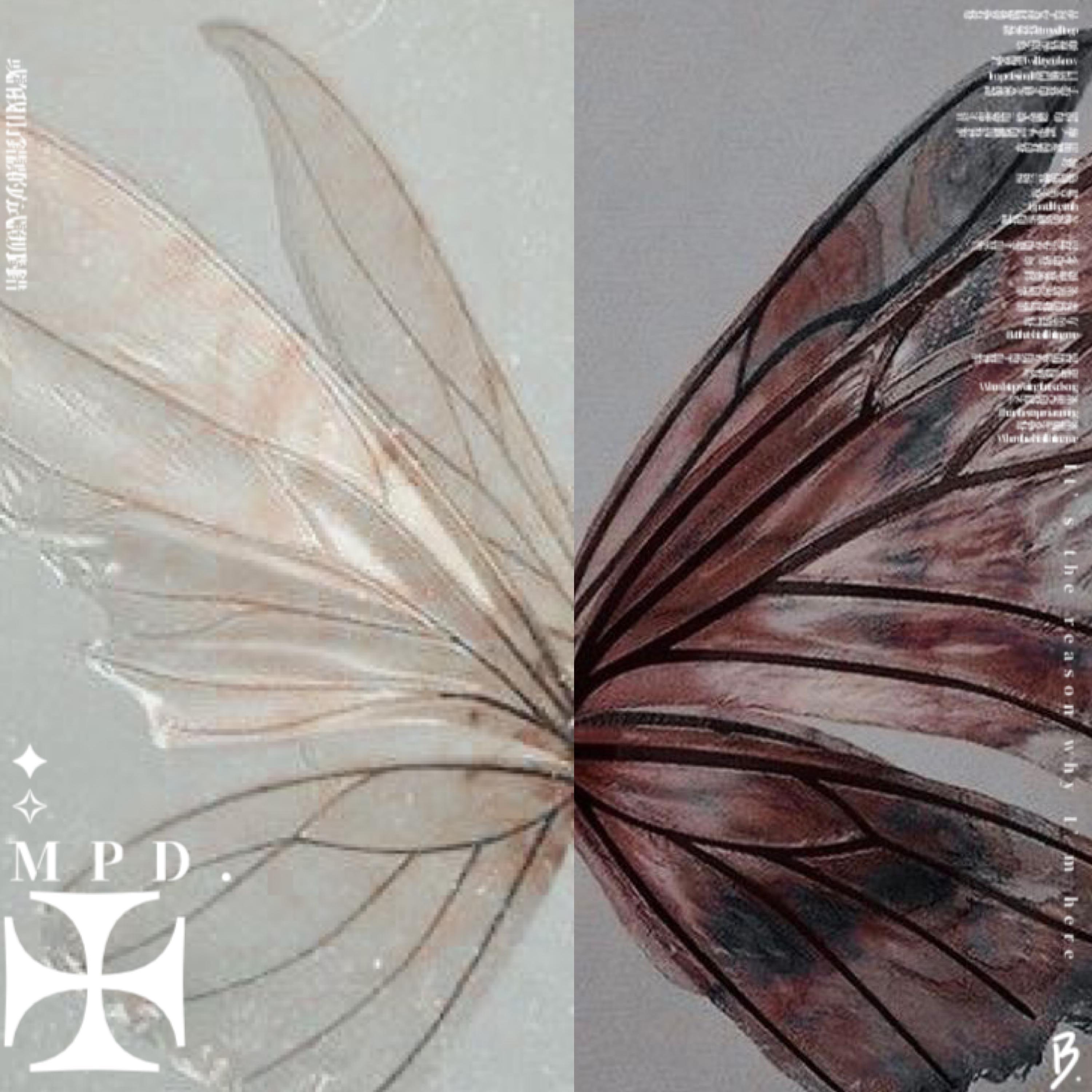 蝴蝶 saicd (Remix)