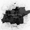 Without You (Remixes)专辑
