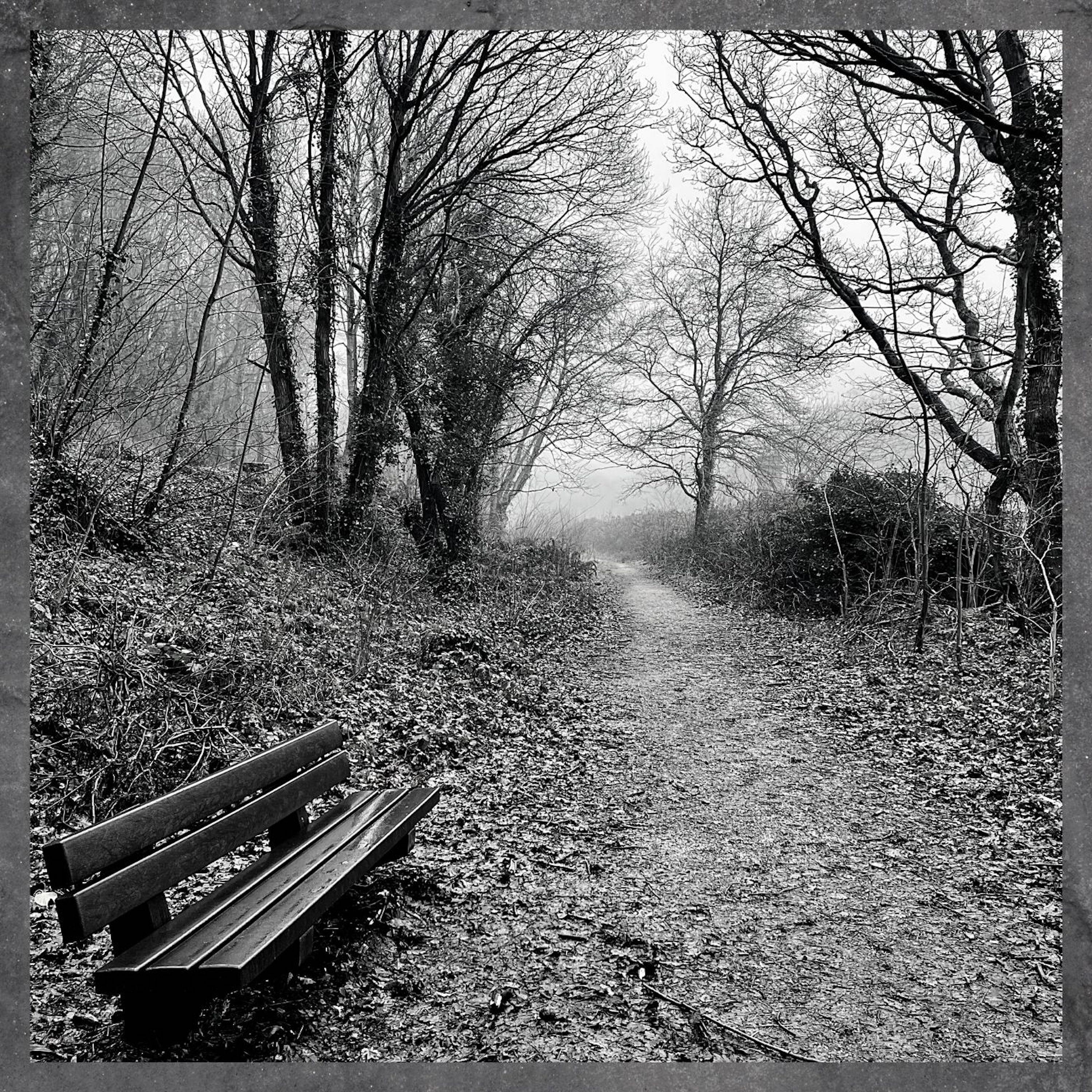The Bench / What Went Wrong
