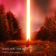Wish You The Best (Bumpÿ&JerScO Remix)