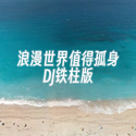 浪漫世界值得孤身（DJ铁柱版）