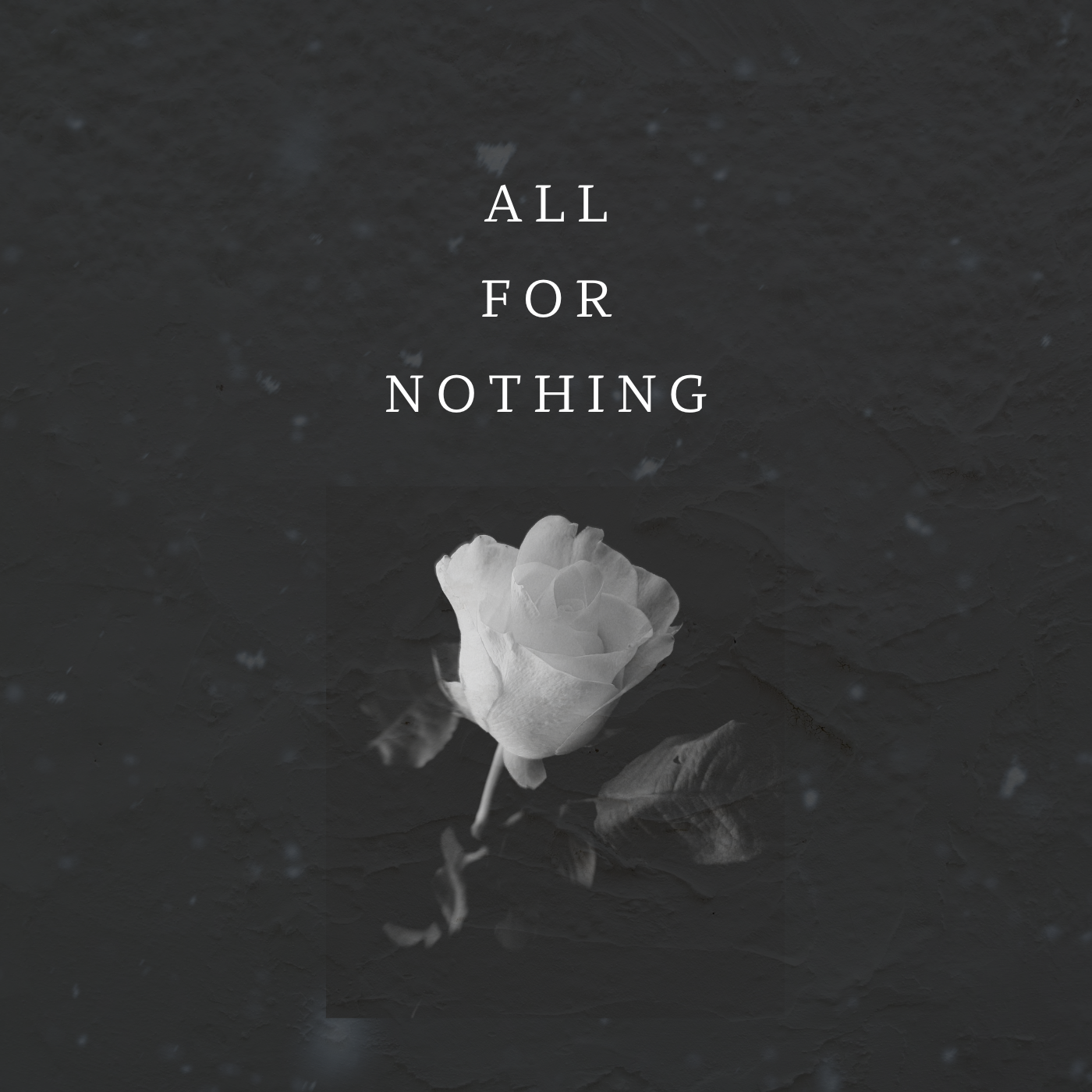 ZnOH - All For Nothing