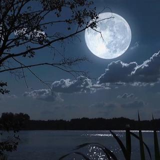 你今夜为了什么戴上耳机