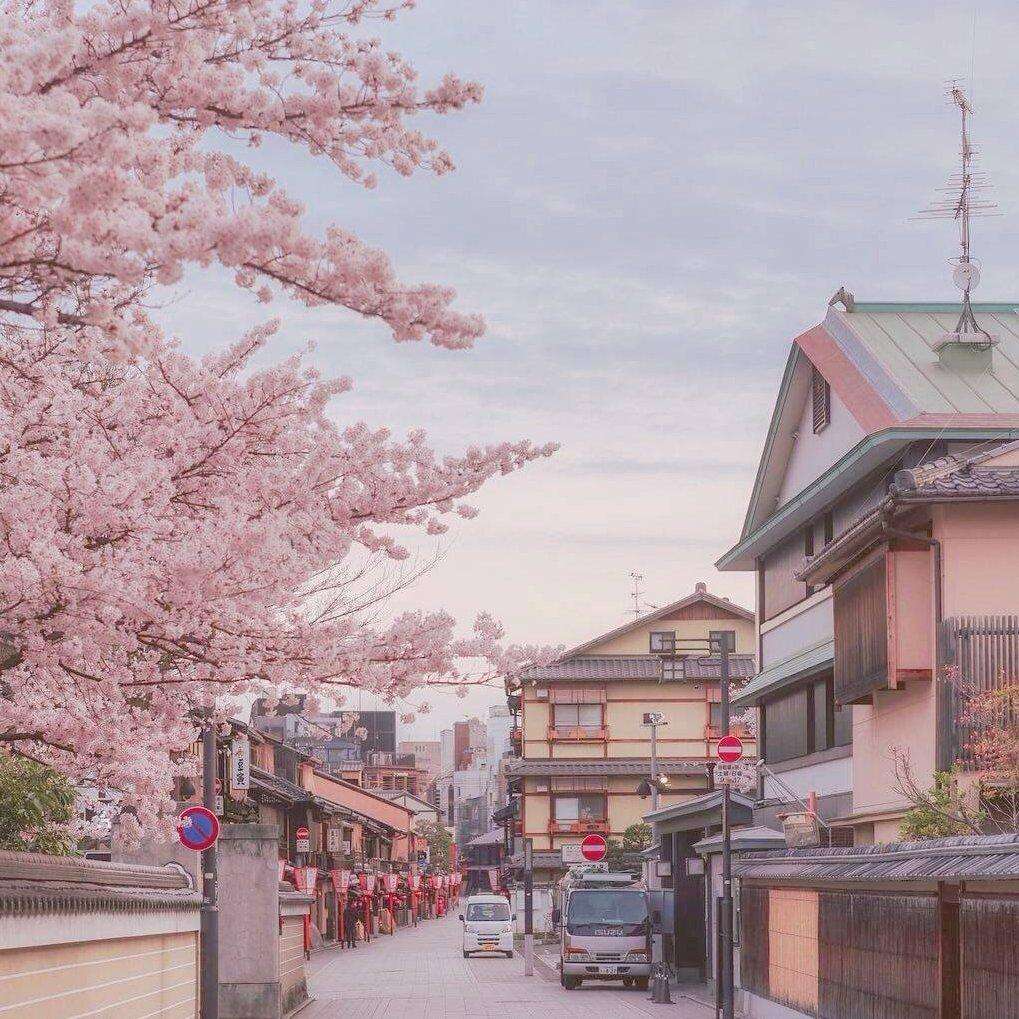 风居住的街道 - 送给晚上的自己(钢琴曲) - 电台节目 - 网易云音乐