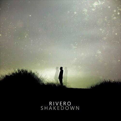 Shakedown