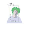 宋睡觉啊