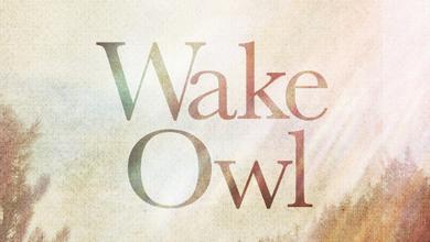 Wake! Owl