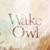 Wake! Owl