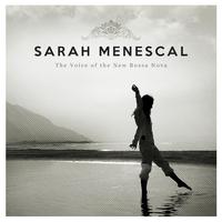 Don't Speak - Sarah Menescal (Karaoke Version) 带和声伴奏