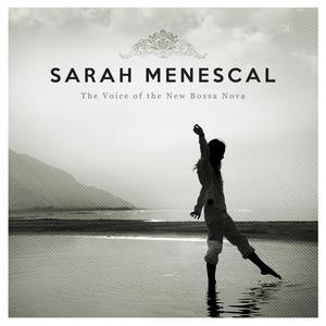 Don't Speak - Sarah Menescal (Karaoke Version) 带和声伴奏 （降8半音）