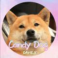 Candy Dog