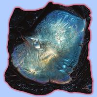 Skrillex - Push (Tera Kora & King Doudou Bubbling Remix) 140