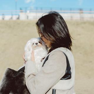 2022春天治愈合集