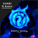 IGNB（叶 Remix）专辑