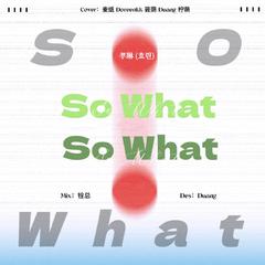 So What （Cover：孝琳 ）