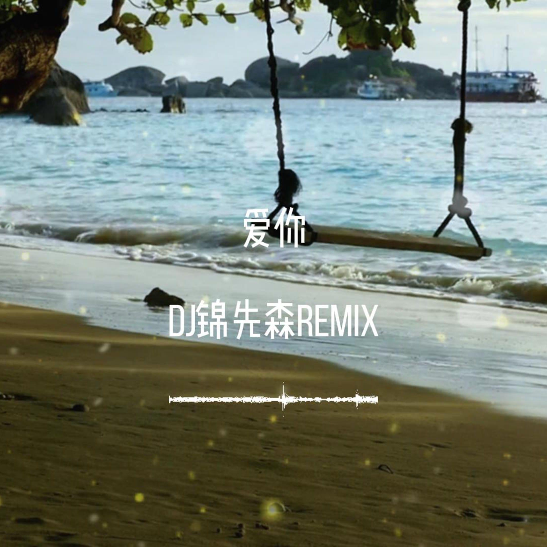 爱你（DJ锦先森 Remix）