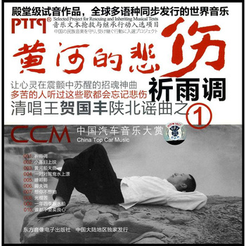 黄河的悲伤