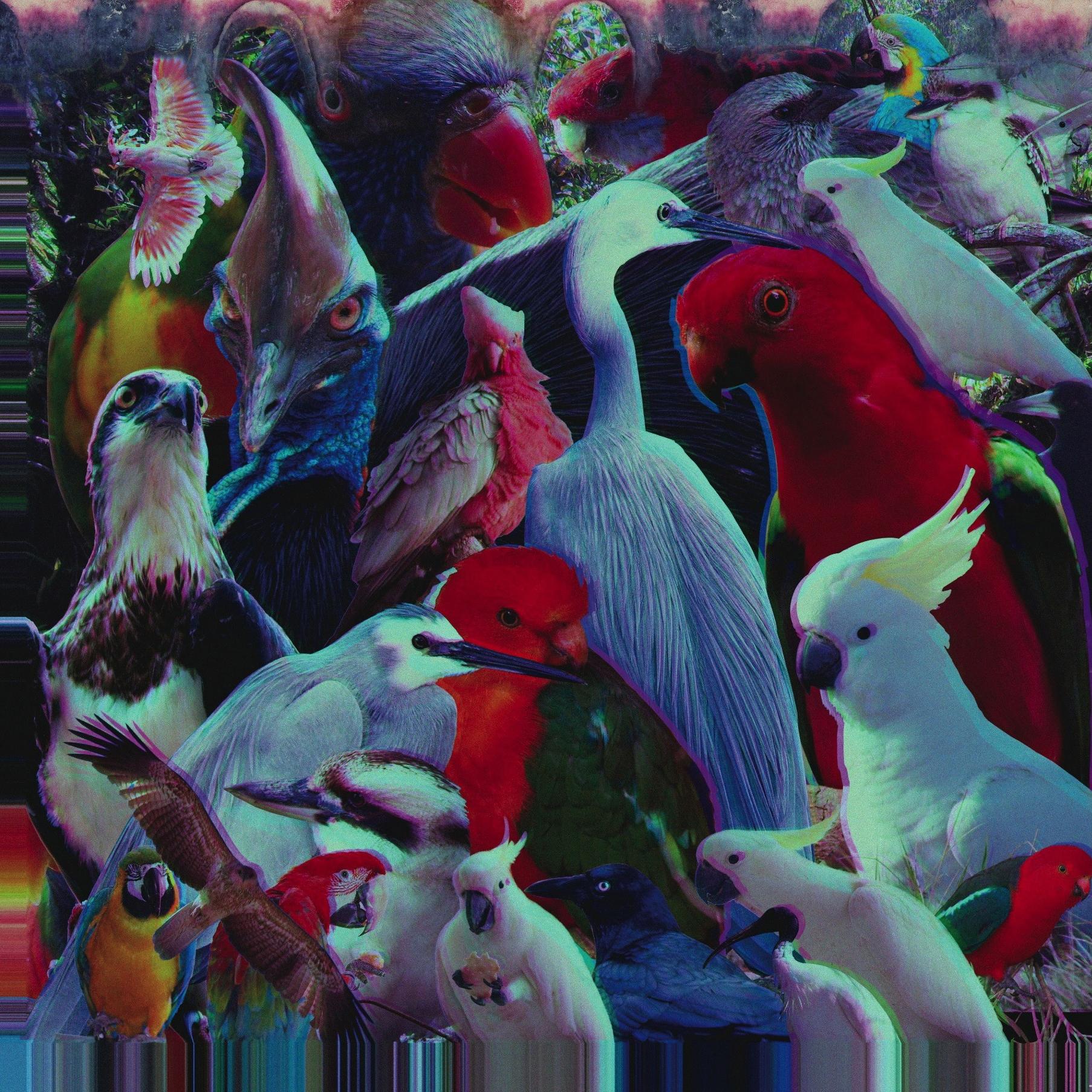I'd Rather Listen to the Bloody Birds