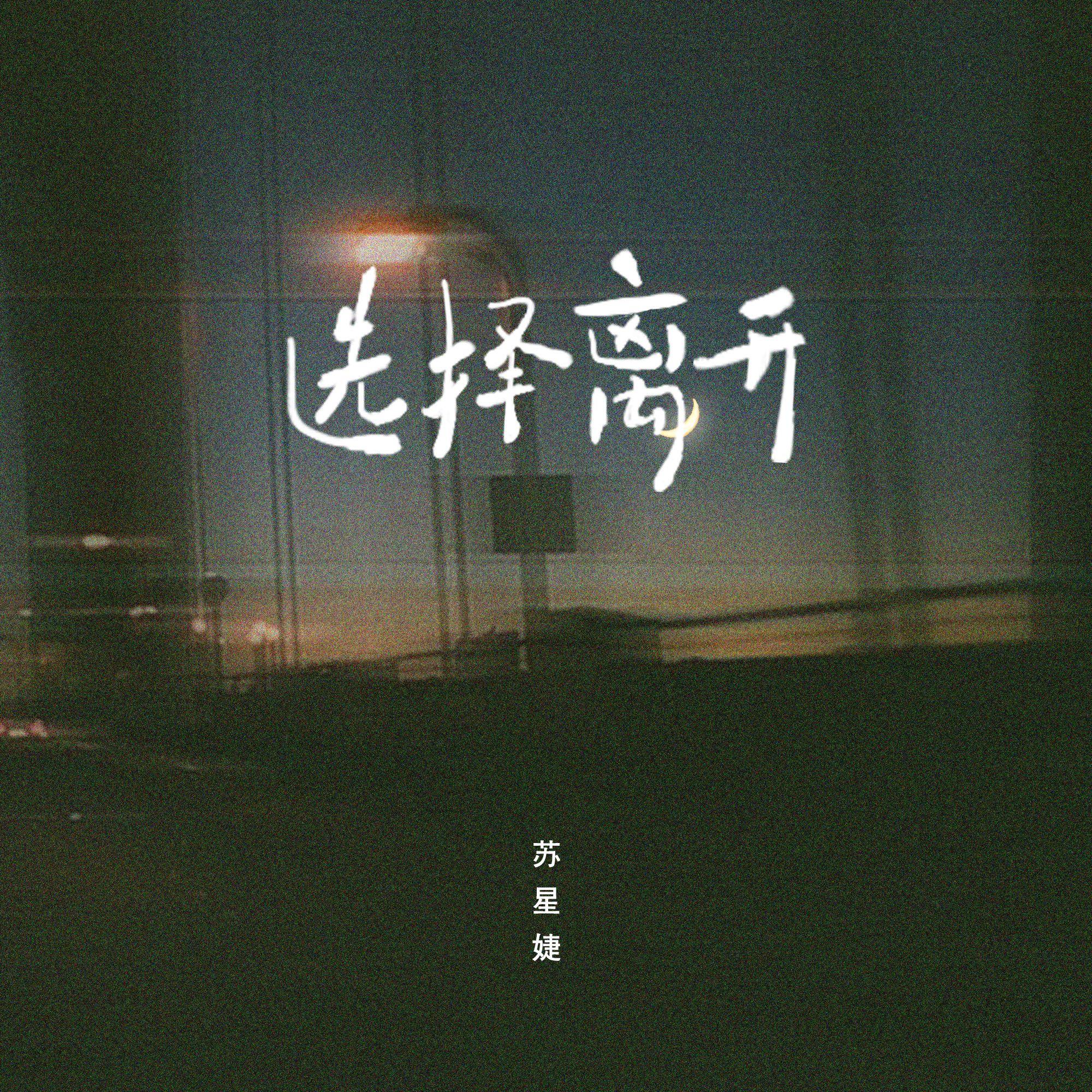 选择离开 (DJAh版)