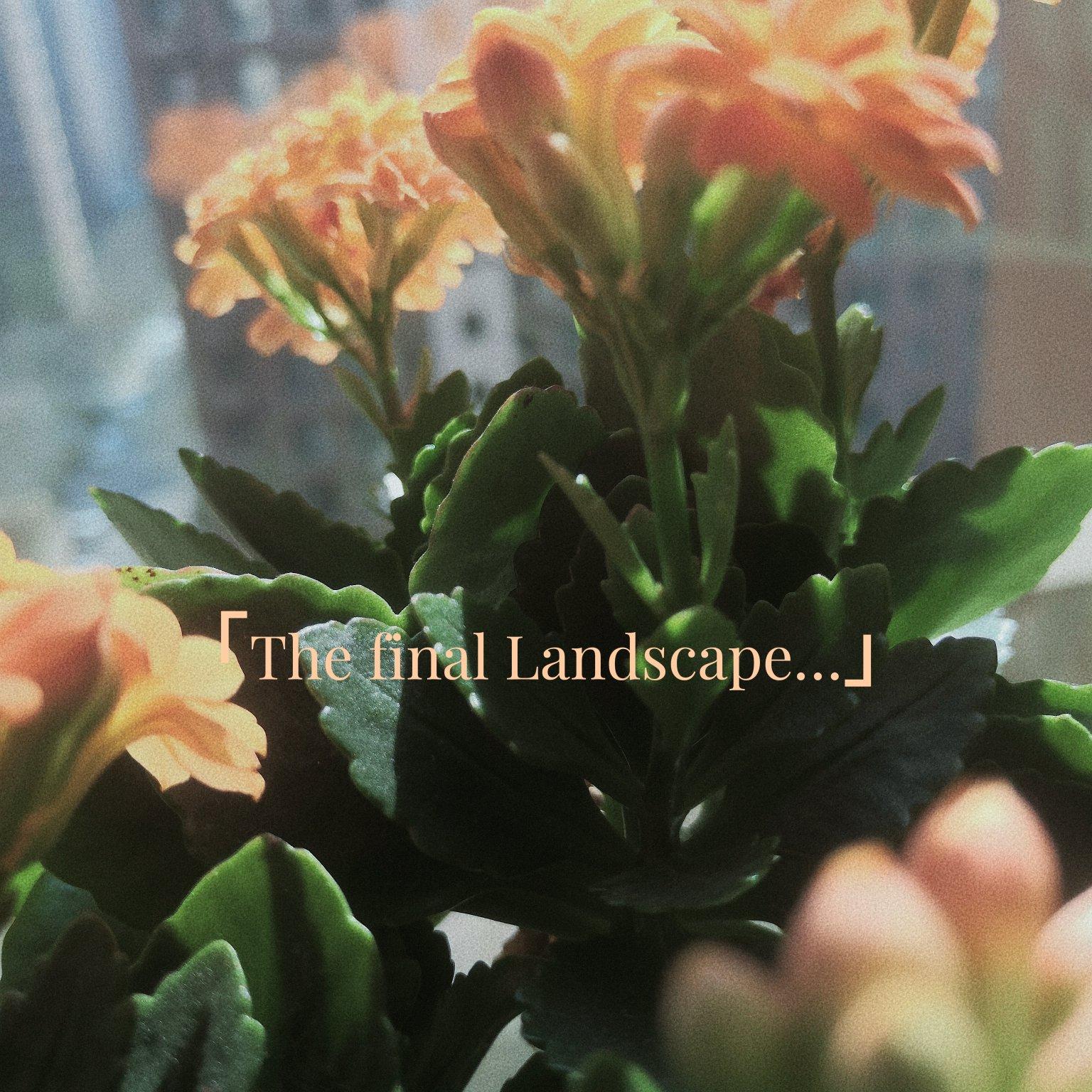 The final Landscape…