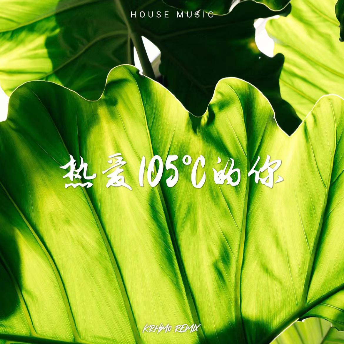 热爱105度的你 (日语) #Remix