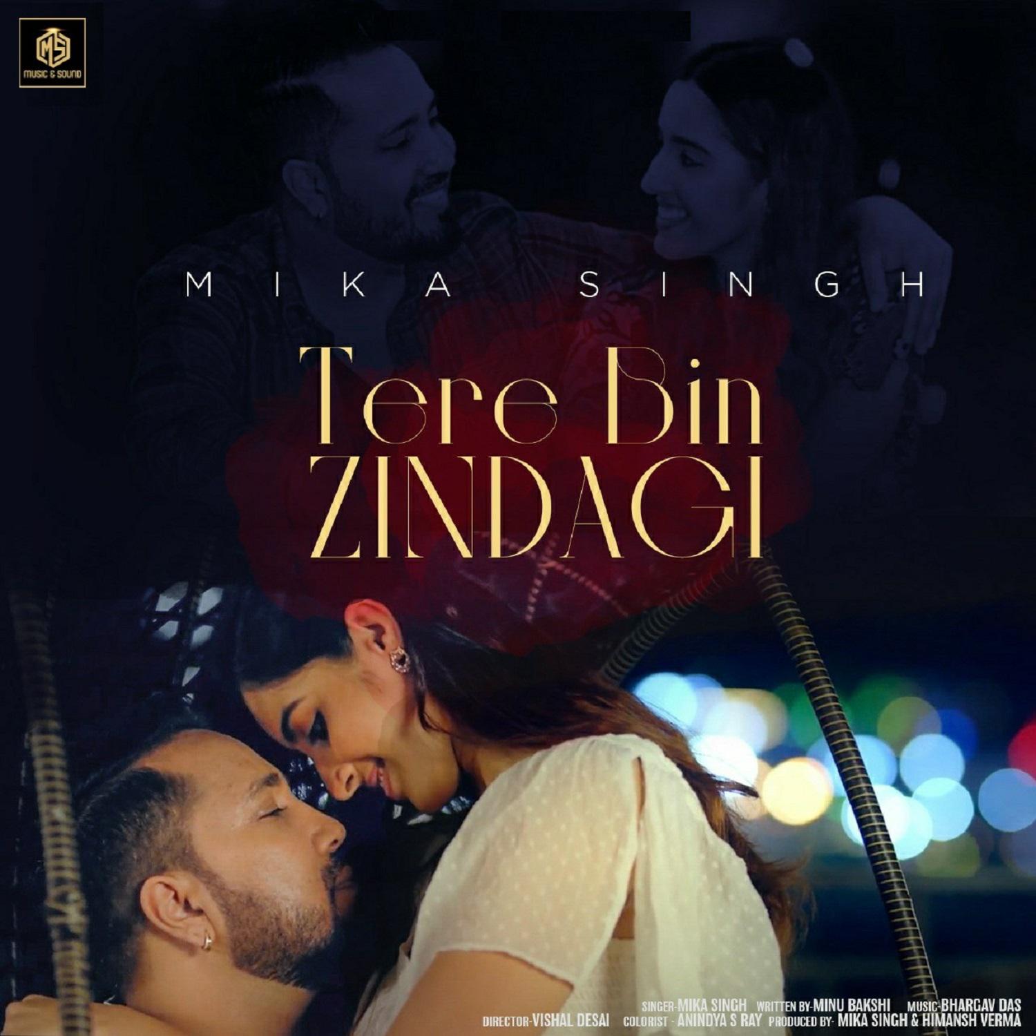 Mika Singh - Tere Bin Zindagi