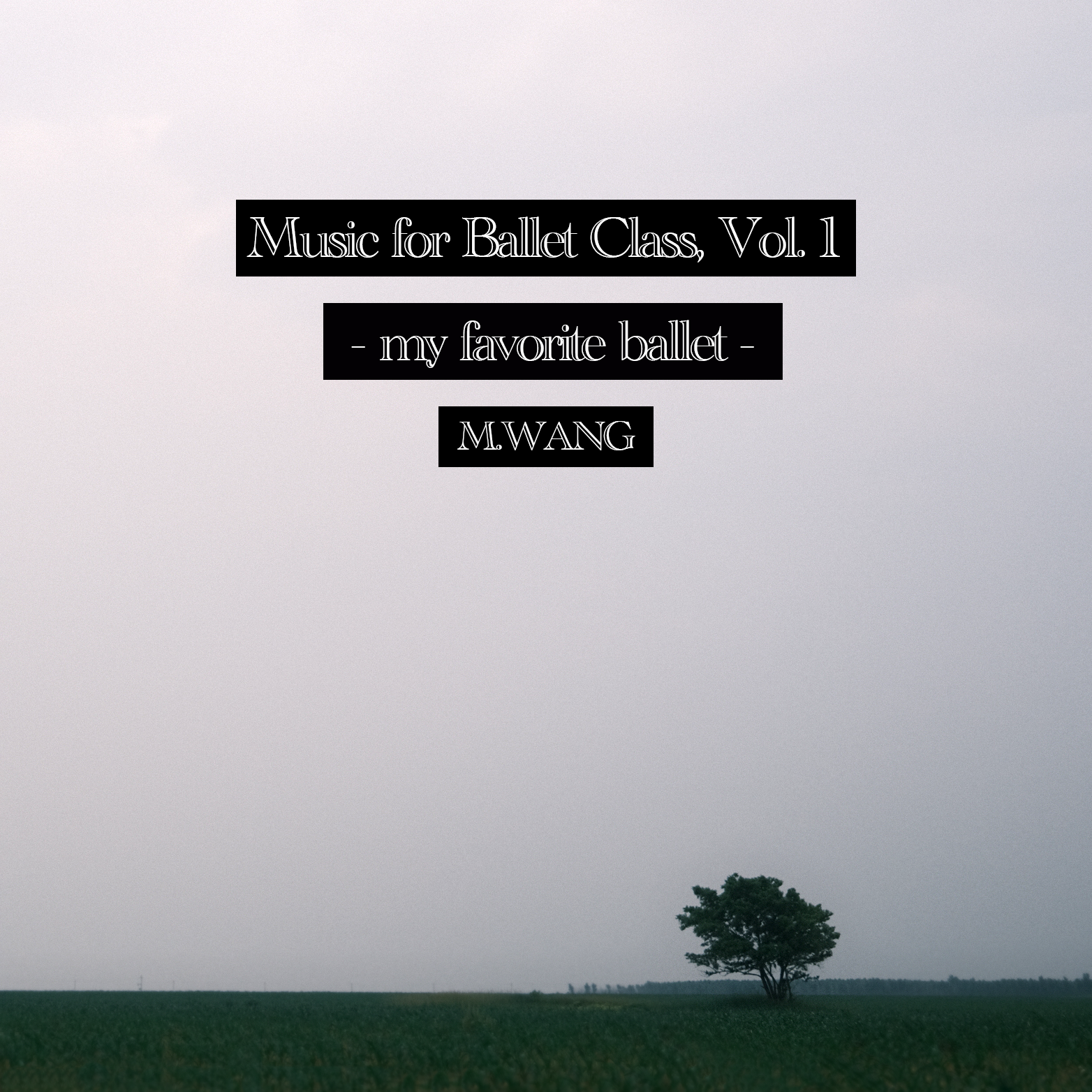 Tendu 1 (Pas Classique)