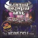 Lyve: The Vicious Cycle Tour [live]