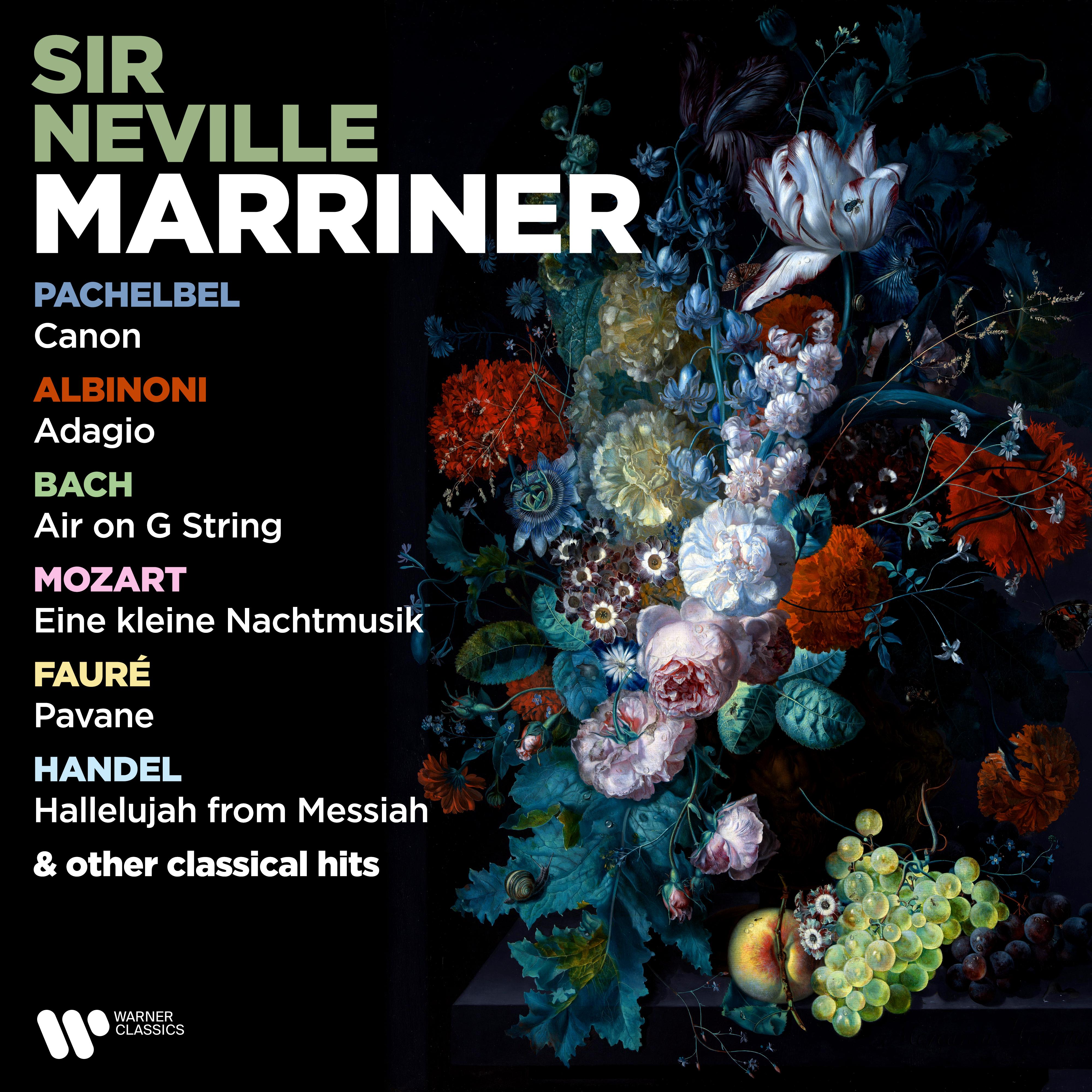 Pachelbel: Canon - Albinoni: Adagio - Bach: Air on G String - Mozart: Eine kleine Nachtmusik - Fauré: Pavane & Other Classical Hits