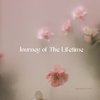 Swanand Kirkire - Journey of the Lifetime